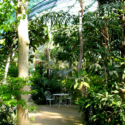 promenade au jardin des Serres d'Auteuil © Bertrand bolognesi 2004